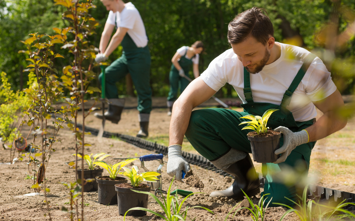 Ausbildung zum / zur Gärtner:in für Garten- und Landschaftsbau